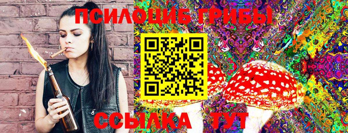 Галлюциногенные грибы Cubensis  Вход с VPN  Сланцы 